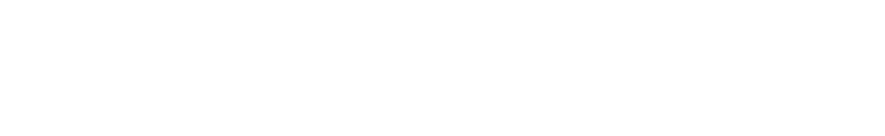 RAYMON_Logo_white_2024